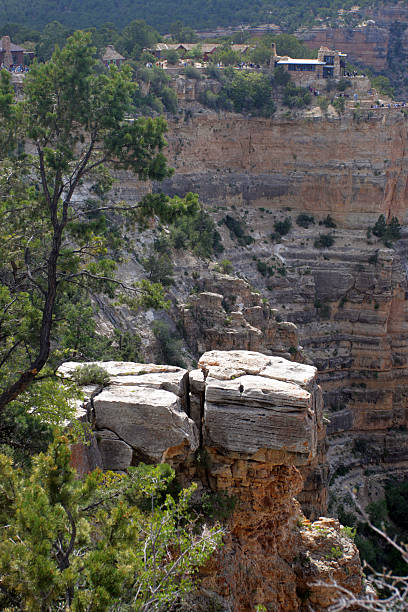 istock Grand Canyon National Park, USA 147304424