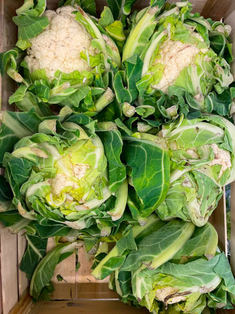 istock Cauliflower.  Cauliflower is one of several vegetables 1473044336