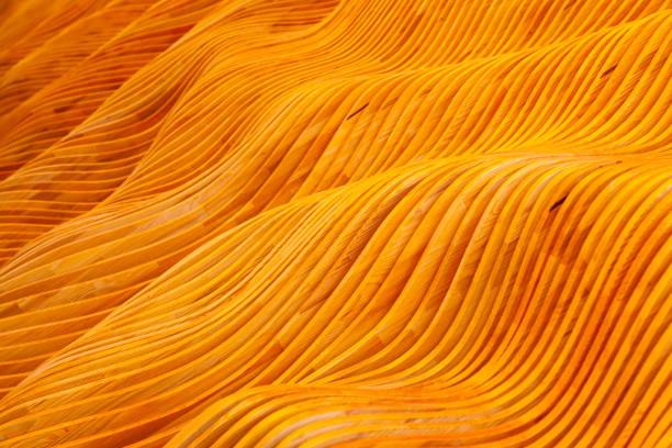 istock Wood texture in the form of a wave. 1473046571