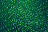 Green Crocodile Alligator Leather Artificial Skin Texture Pattern Shiny Leatherette Alligator Dragon Dinosaur Reptile Ombre Background Teal Foil Rough Bumpy Paper Copy Space Close-Up Macro Photography Full Frame