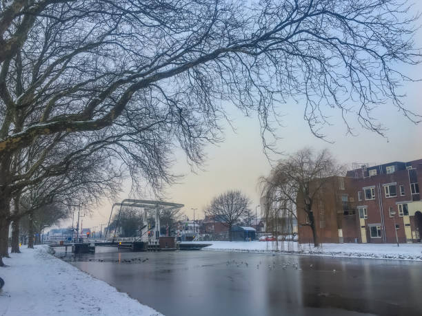 Residential area in Delft