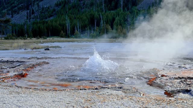 Beautiful view of hot spring pool geothermal landscape. Geyser basin and forest. Famous tourist attraction at Yellowstone national park.