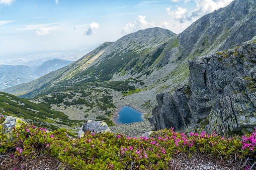 The most beautiful trekking in Romania, the National park Retezat ( 2485 m) n range, turquoise lake and blooming flowers on sunny day.