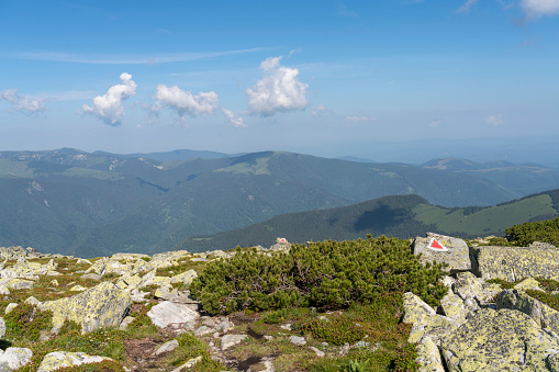 The most beautiful trekking in Romania, the National park Retezat ( 2485 m) , Yellow lichen on the rocks in front view, in distance mountain range and red trail marker on the rock.