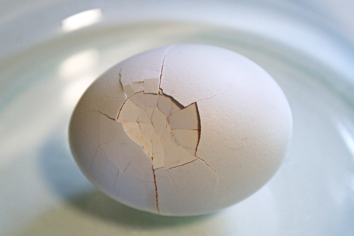 Cracked Egg Shell
