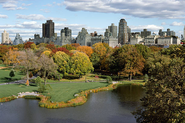 istock The East Side of Manhattan and Turtle Pond 147306441