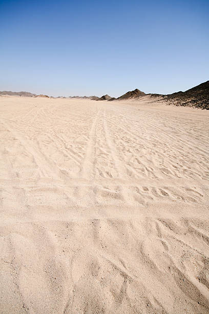 piste sur le sable - tire track egypt track africa photos et images de collection