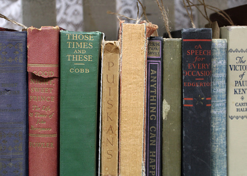 Antique books at the antique stores - lined up, showing the spines