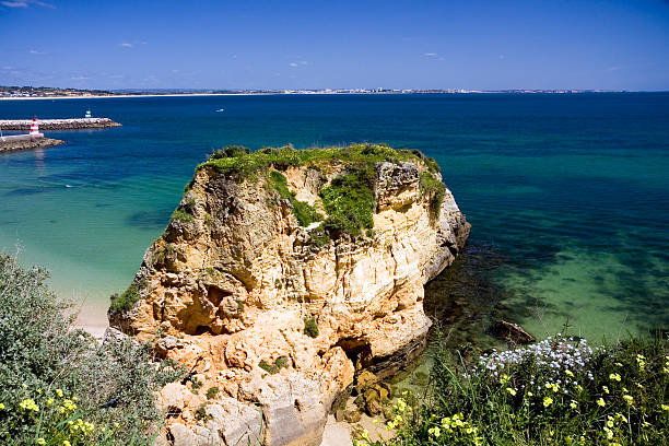 lagos-beach-algarve, portugal, cliffs e pedras com musgo - monica moss imagens e fotografias de stock