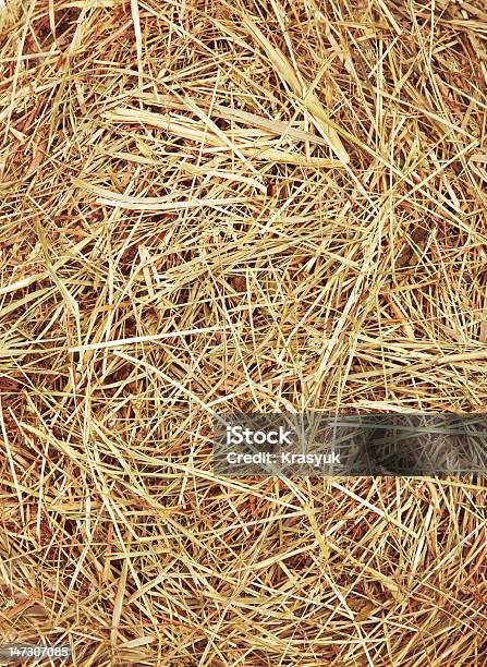 Textura Palha - Fotografias de stock e mais imagens de Agricultura - Agricultura, Amarelo, Ao Ar Livre