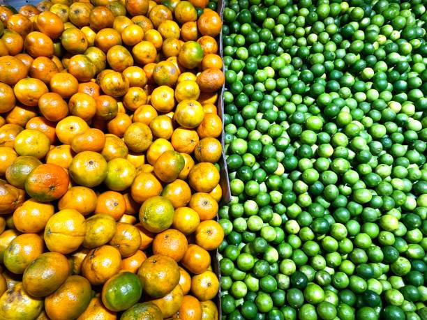Citrus