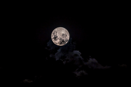 Full moon rising over the tree tops.