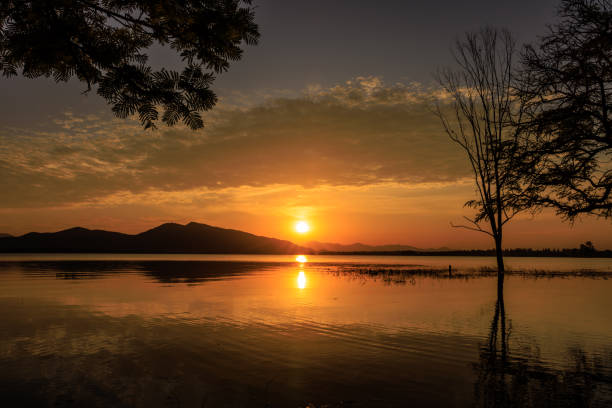 silhouetted trees reflection in water and over colorful sunset background, romantic at twilight for wallpaper