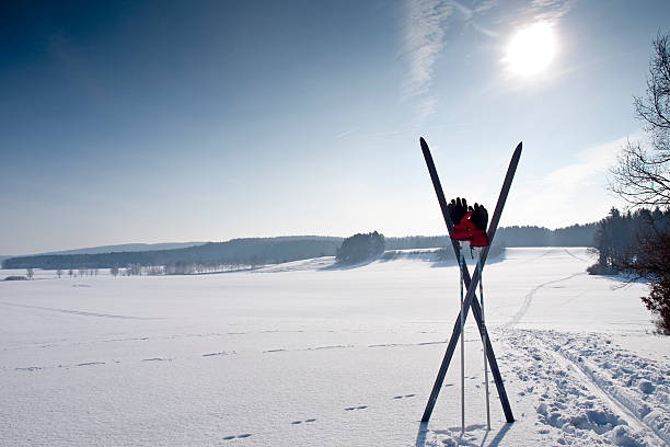 istock Cross country trail with ski 147308444