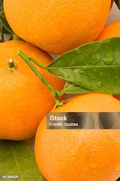 Tangerine Stock Photo - Download Image Now - Agriculture, Autumn Leaf Color, Citrus Fruit