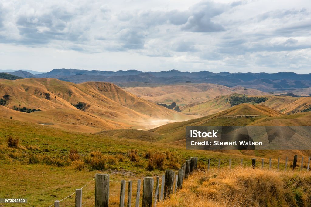 Wairarapa Heartland. In the middle of nowhere at Waitawhiti station near Tiraumea Massive rural remote farm settlement and ranch on the hills and valley Agricultural Field Stock Photo