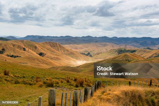 Wairarapa Heartland In The Middle Of Nowhere At Waitawhiti Station Near Tiraumea Stock Photo - Download Image Now