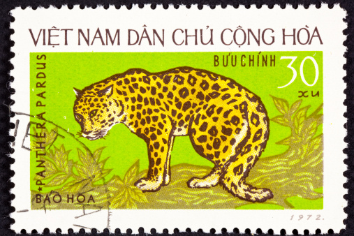 A 1992 Kenya postage stamp with an illustration of a leopard (chui in Swahili).