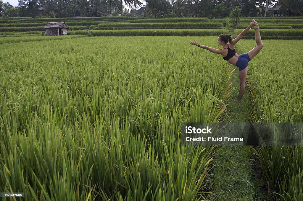 Yogi mulher no campo de arroz - Foto de stock de Adulto royalty-free