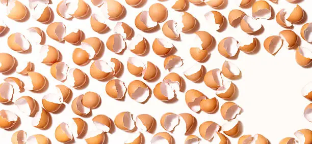 A large group of egg shells on white background, with copyspace
