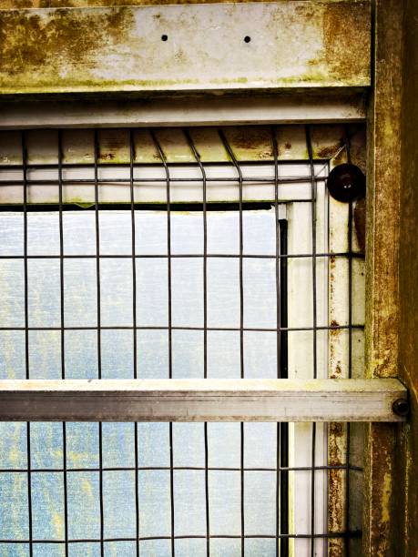 istock Vintage Greenhouse Sash and Window Pane 1473098916