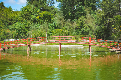 A model red bridge in a Japanese garden. Beautiful view of a model red bridge in a Japanese garden; bridge reflects in water.