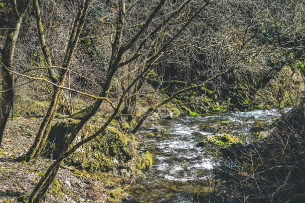 istock the Water flowing, Scenery of Kibune River 12 April 2012 1473100704