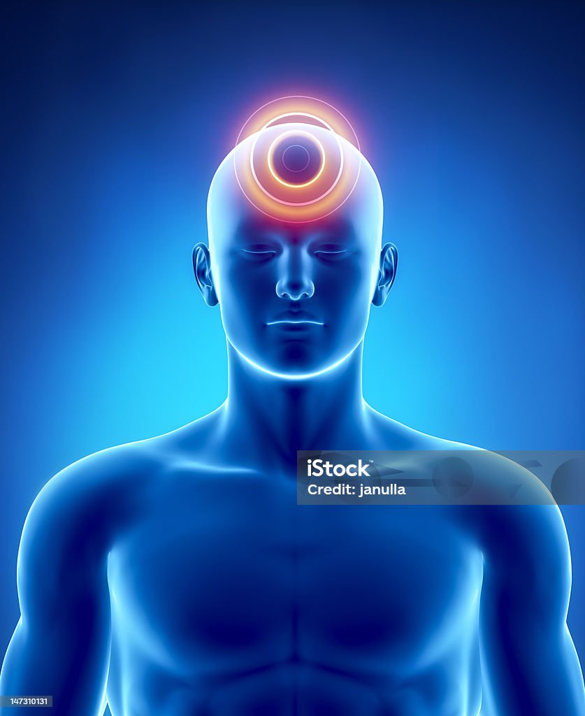 Migraine and headache concept Male anatomy of human organs in x-ray view Abdomen Stock Photo
