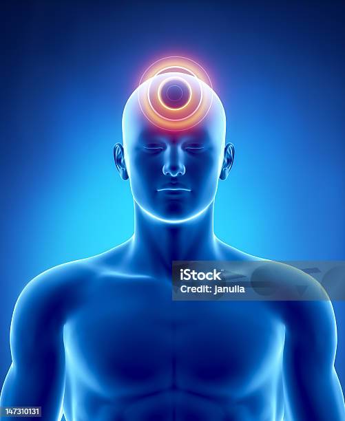 Migraine And Headache Concept Stock Photo - Download Image Now - Abdomen, Adult, Anatomy