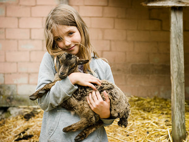 istock Girl with goatling 147310626