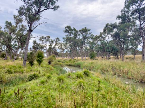 istock Glen Creek, NSW, Australia 1473106535