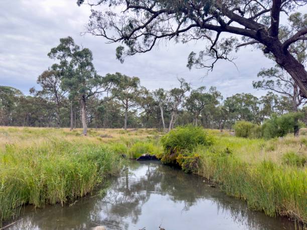 istock Glen Creek, NSW, Australia 1473106599