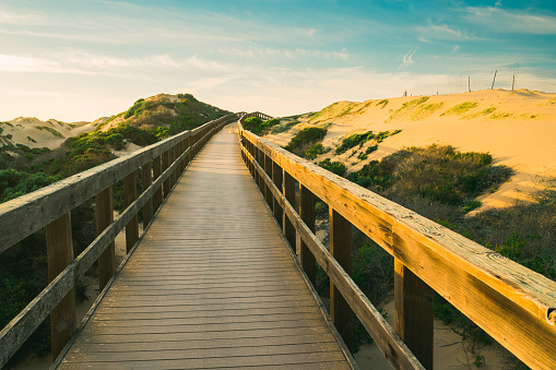 A long wooden boardwalk seems to stretch to infinity. Walkway through sand dunes and native forest leading to the beach. Oceano, California Central Coast