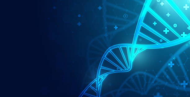 istock Healthcare and medical science technology with wireframe DNA. analysis of chromosomal DNA genetic. concepts and ideas for healthcare technology, innovation medicine, health, science and research. 1473111177