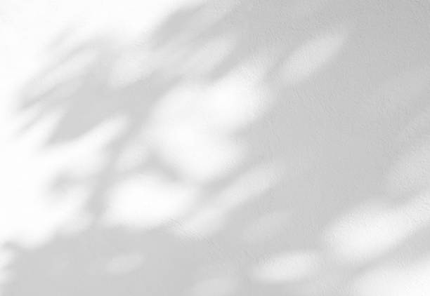 istock Abstract shadow of leaves on a white wall 1473112427