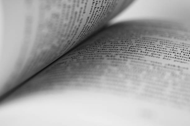 Close-up of open book. Back to school