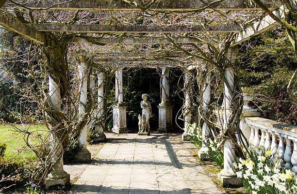 Leaves growing through columns of a balustrade