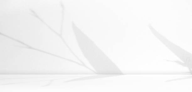 istock Background Abstract Leaves Shadow Overlay Abstract on Table Wall Studio Room,Grey Summer color Tropical with Silhouette Plant Leaves on Floor Counter Bar,Empty Design Food Kitchen 1473115967