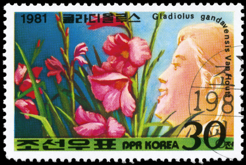A Stamp printed in NORTH KOREA shows image of a Gladiolus Gandavensis Van Houtt, from the series \