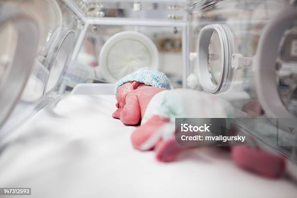 Новорожденный Ребенок Мальчик Из Vertix Внутри Кувез — стоковые фотографии и другие картинки Кувез
