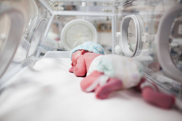 newborn baby boy covered in vertix inside incubator - kuvös bildbanksfoton och bilder