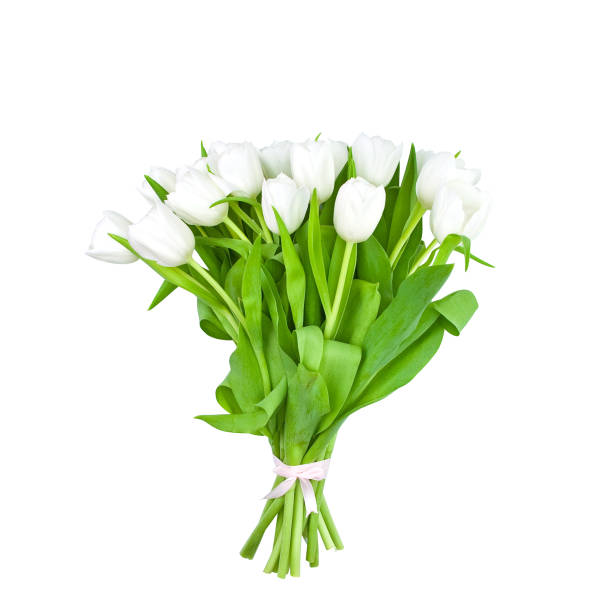 istock Tulips Bouquet isolated on white 147312622