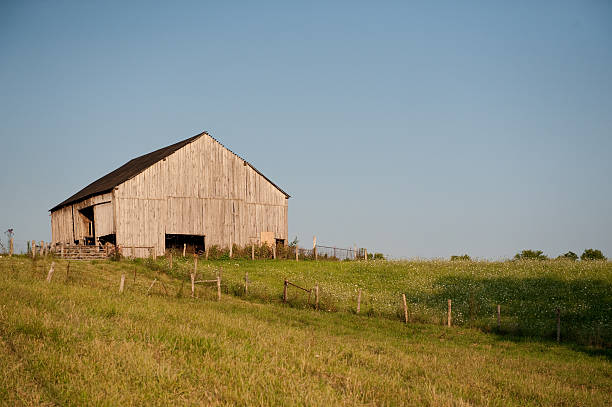 Rustic Barn stock photo