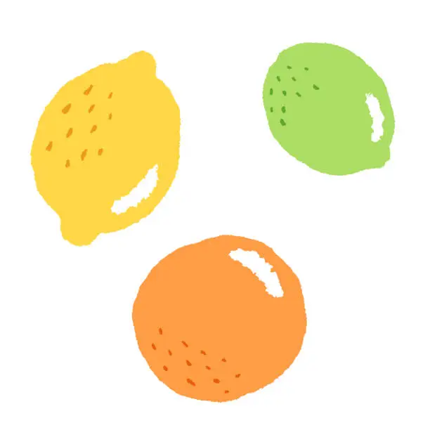 Vector illustration of Citrus Fruits Drawing