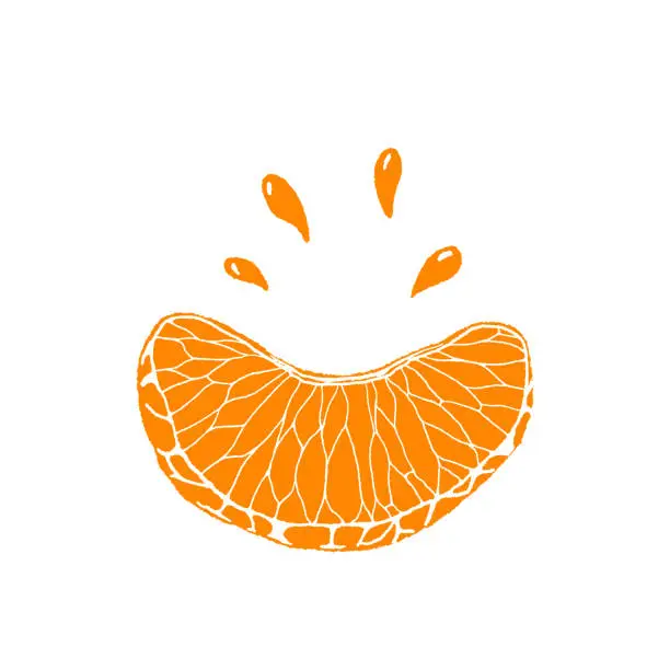 Vector illustration of Juicy Citrus Fruit