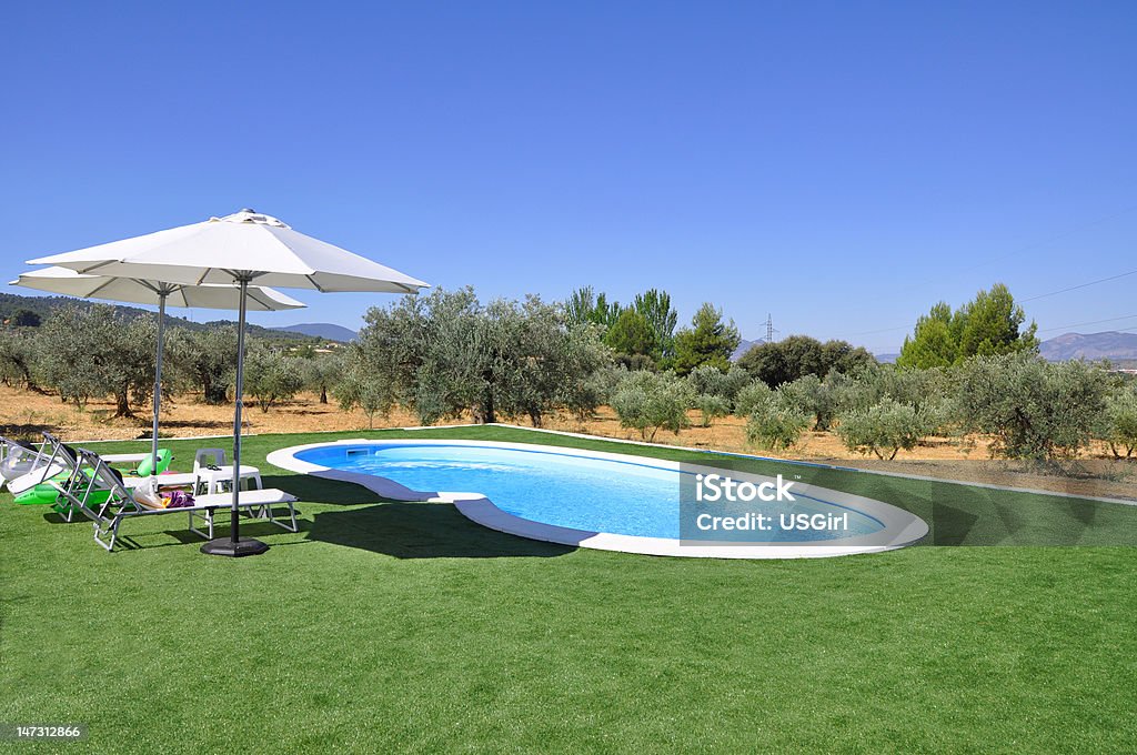 Empty In Ground Pool Green Turf Olive Trees Empty In Ground Pool Green Turf Olive Trees in the Background Swimming Pool Stock Photo