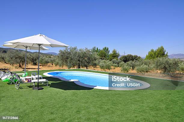 Empty In Ground Pool Green Turf Olive Trees Stock Photo - Download Image Now - Swimming Pool, Turf, Blue