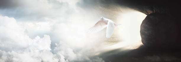 Crucifixion and tomb of Jesus Christ and Easter dove concept Jesus Christ crucifixion death and resurrection and easter dove flying out of a stone tomb concept religious symbol photos stock pictures, royalty-free photos & images