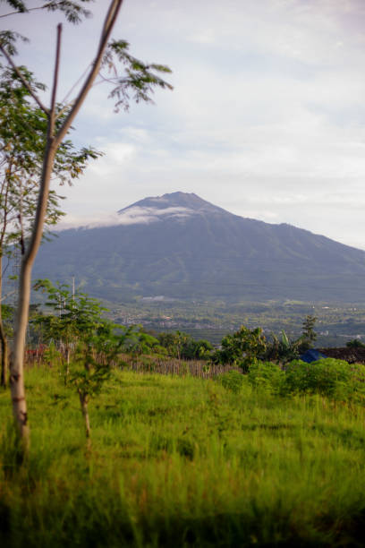 istock Indonesian Early Morning Mountain View with Blurred Grass on the Foreground 1473132445