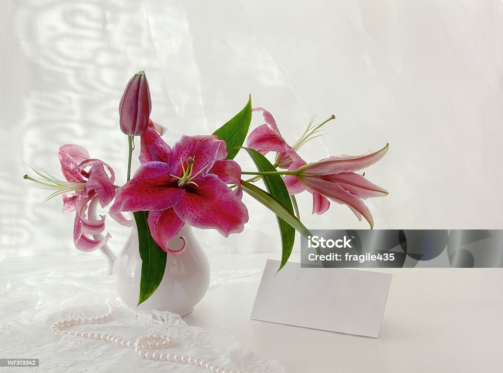 Bouquet di le Calle in un vaso bianco con carta - Foto stock royalty-free di Bellezza naturale